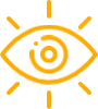 vision